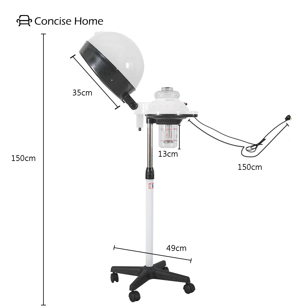 concise home hair steamer for salons