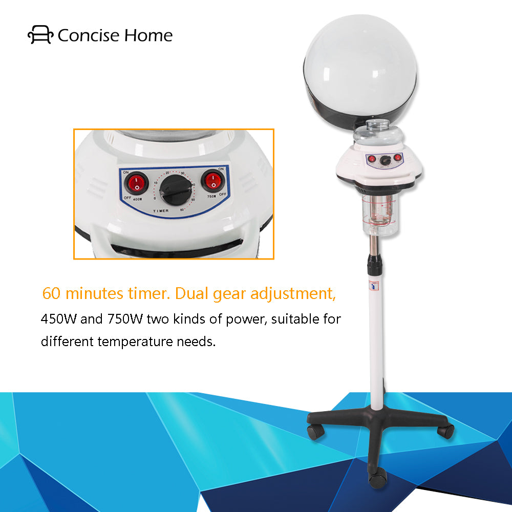 hair humidifier with timer