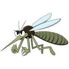 Do You Know When Do Mosquitoes Appear the Most? – Concise Home